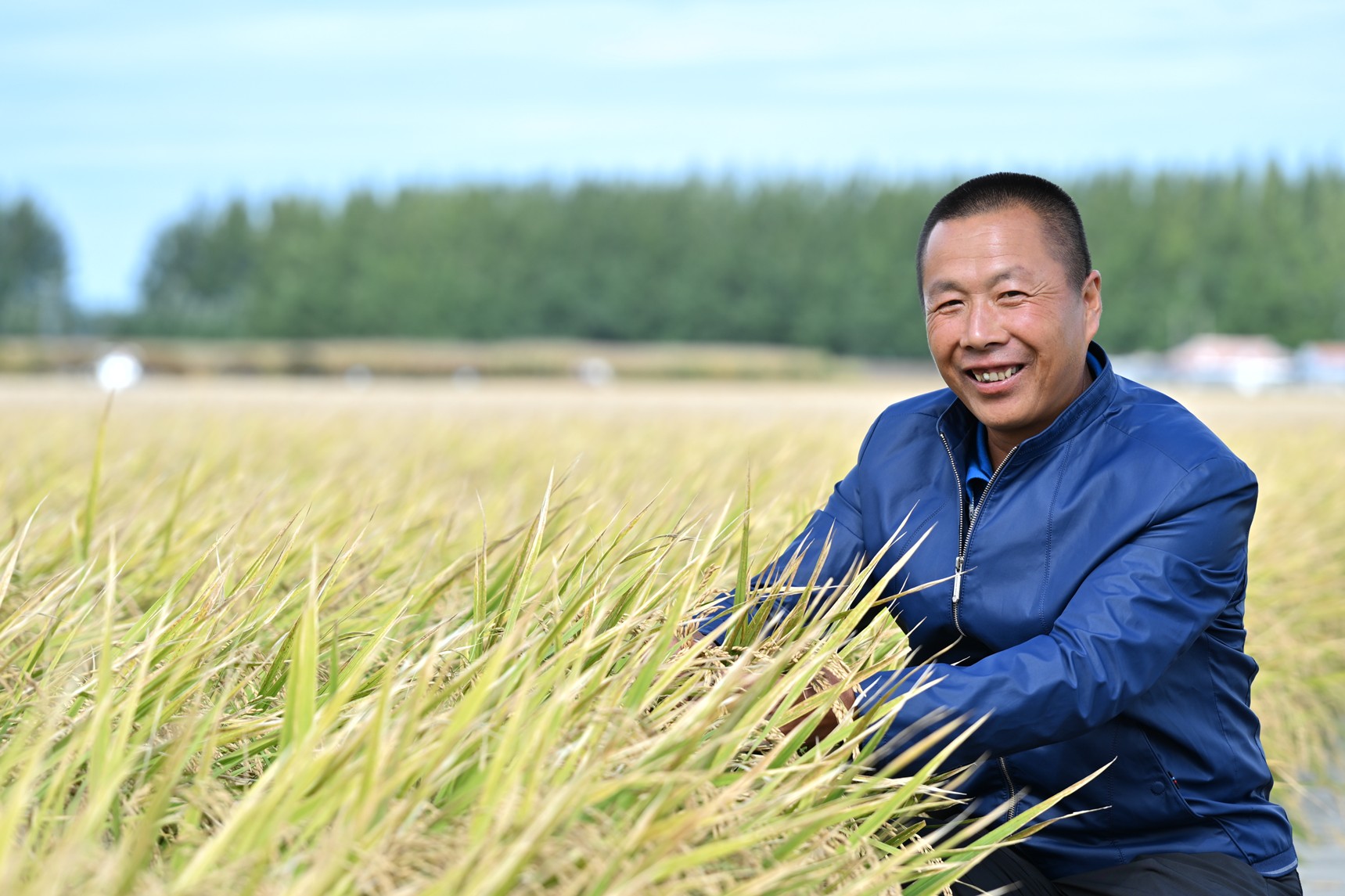 ฉินอวี่ชิว ความฝันในผลผลิตในทุ่งนา