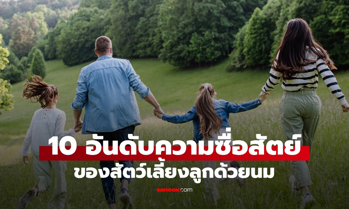 10 อันดับสัตว์เลี้ยงลูกด้วยนม "ผัวเดียวเมียเดียว" ซื่อสัตย์ต่อคู่ครอง มนุษย์อยู่ที่เท่าไหร่?