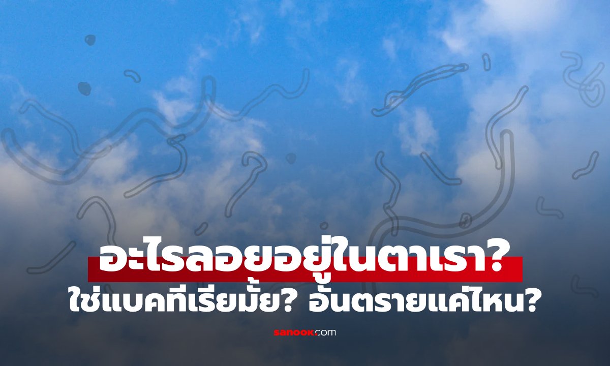 "หยากไย่ในตา" ลอยไปลอยมามันคืออะไร? อันตรายมาก-น้อยแค่ไหน?