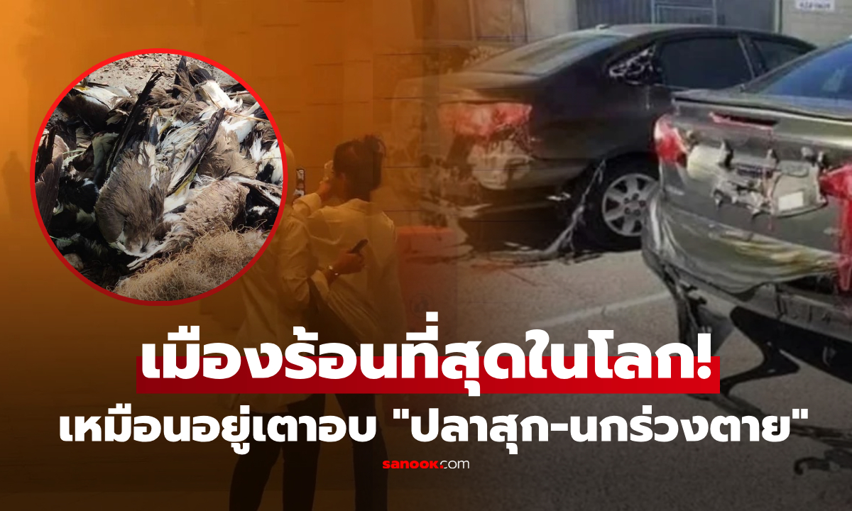 คำเตือนโลกแตก?! เมืองที่ร้อนจน "ปลาสุก-นกร่วงตาย" มนุษย์อยู่ยังไงในเตาอบ 54 องศา