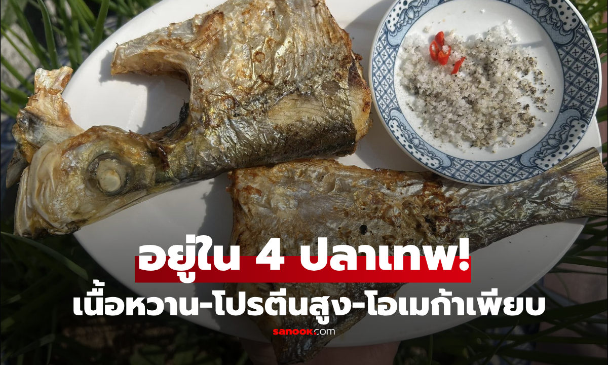 ติด 1 ใน 4 ปลา 