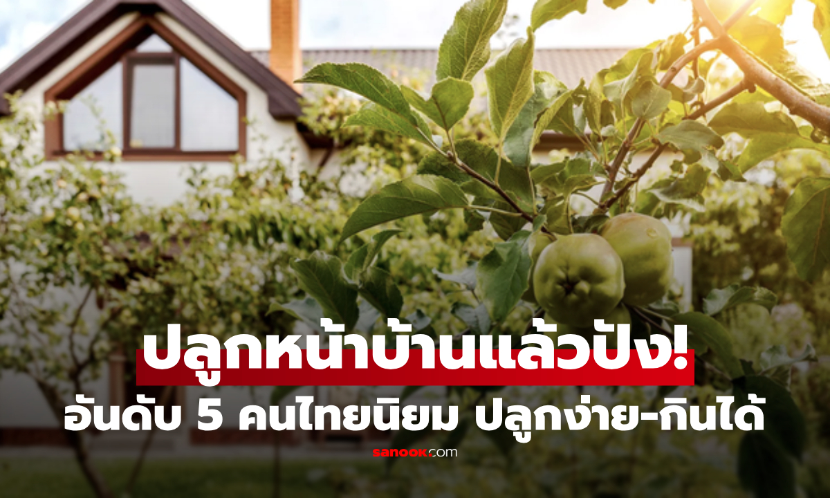 สื่อมะกันยก 5 ไม้ผล "ควรมีหน้าบ้าน" อันดับสุดท้าย คนไทยปลูกมาตั้งแต่โบราณ!!