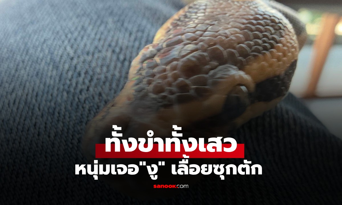 นาทีระทึก! หนุ่มนั่งจิบกาแฟอยู่ดีๆ เจอ "งู" เลื้อยซุกตัก ทั้งขำทั้งเสว (มีคลิป)