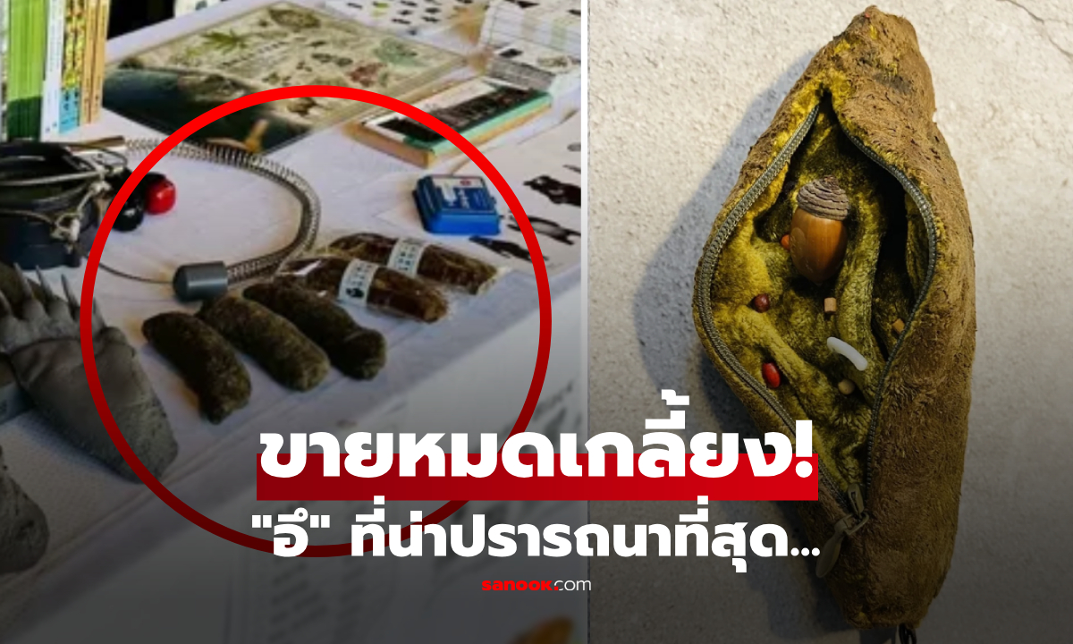 รูดออกมามีอึ้ง! พวงกุญแจ "อึ" ที่แย่งกันซื้อ ข้างในไม่ใช่นุ่น แต่ซ่อน "ความลับ" ของป่าไว้