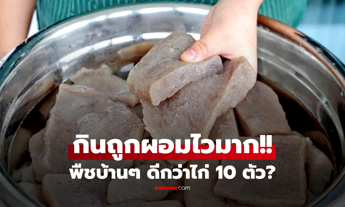 พืชบ้านๆ ที่ต่างชาติอวย "ดีกว่าไก่ 10 ตัว" ขูดไขมัน-ลดน้ำตาล กินถูกวิธีผอมไวมาก!!