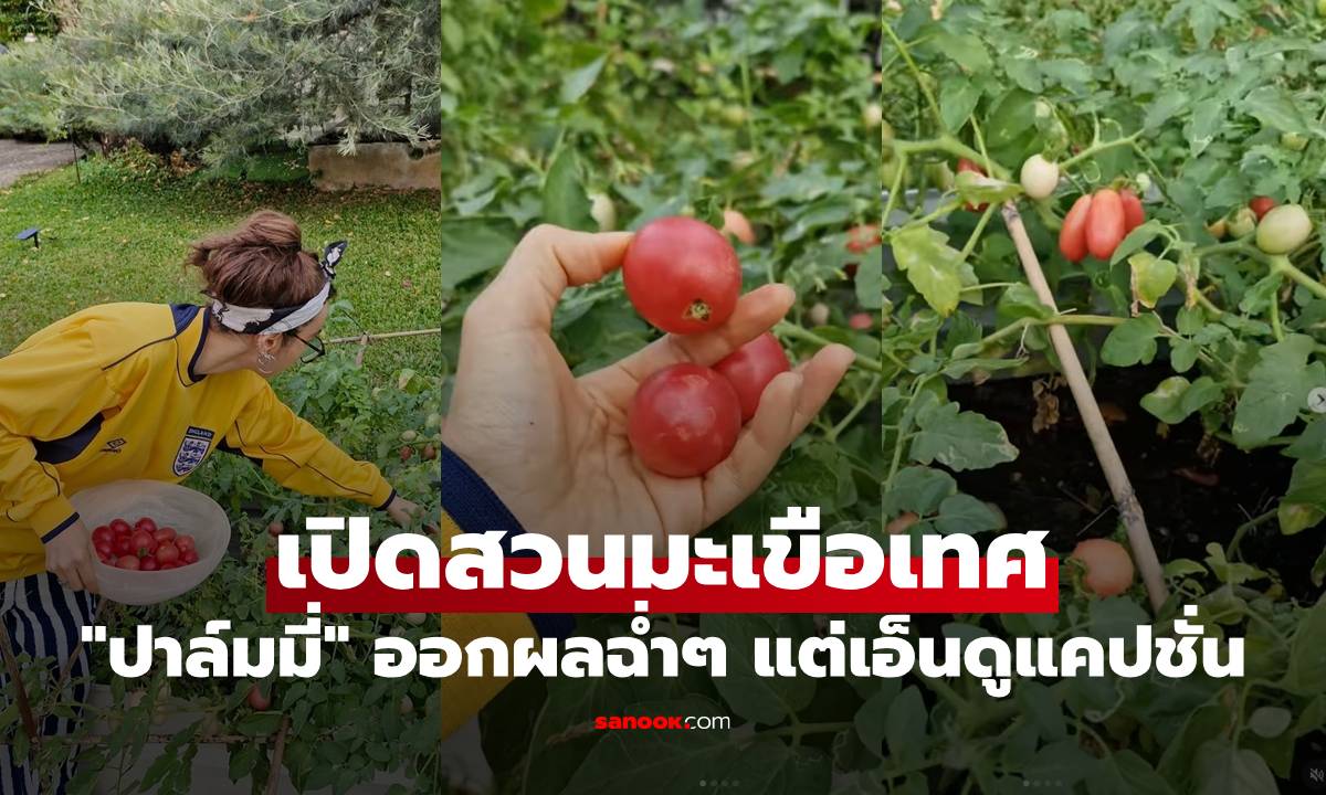 "ปาล์มมี่" เปิดสวนมะเขือเทศ ออกผลฉ่ำ น่ากินสุดๆ แต่เอ็นดูแคปชั่น อ่านแล้วขำเลย