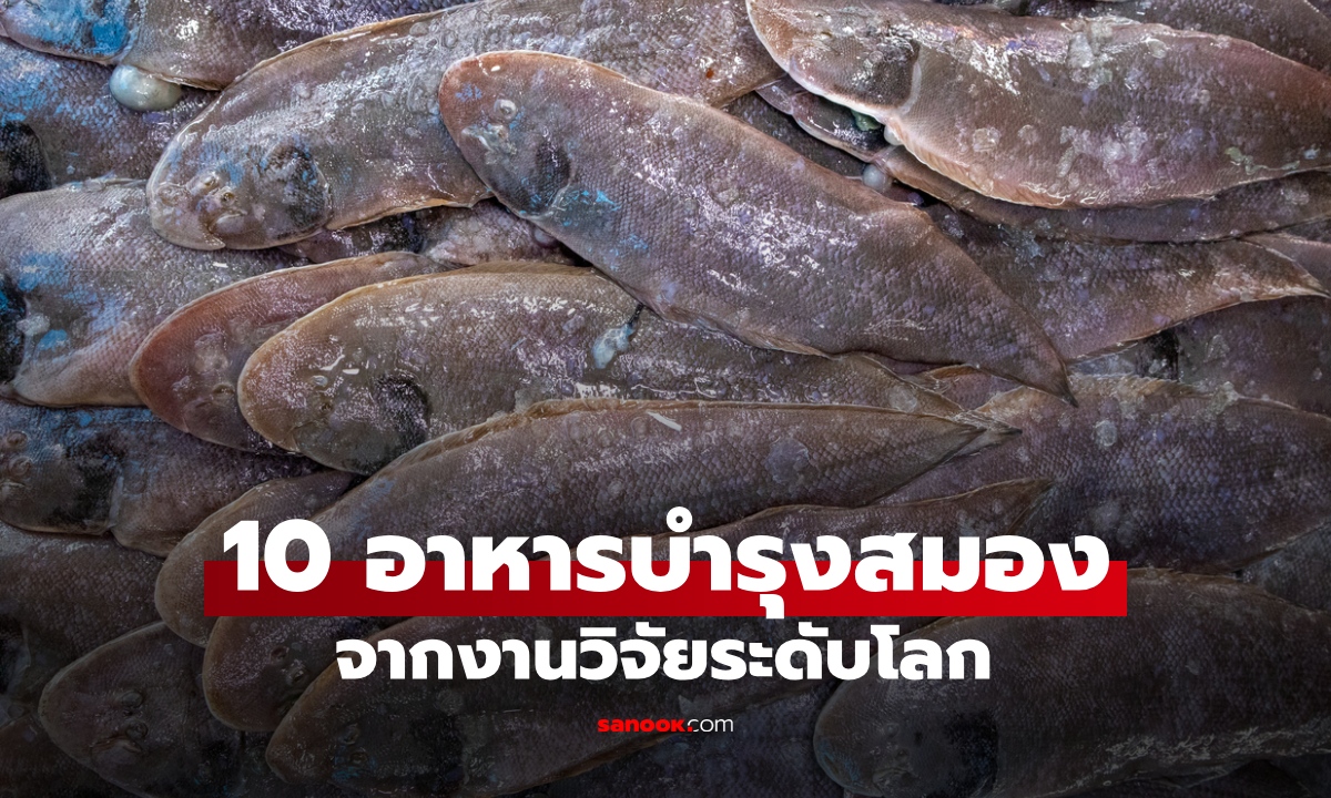 10 อันดับอาหารบำรุงสมอง เสริมความจำดี ป้องกันอัลไซเมอร์ จากงานวิจัยระดับโลก