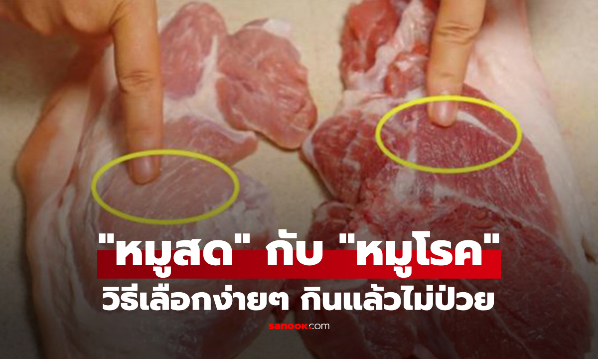 ระวังหมูย้อมแมว! สอนวิธีแยก "หมูสด" กับ "หมูโรค" ดูให้เป็นง่ายๆ จะได้ไม่ป่วยยกบ้าน
