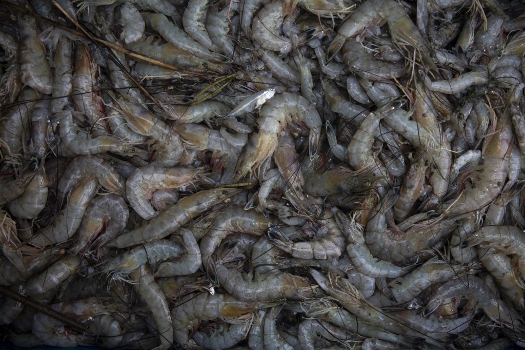 afp__20190827__1164415494__v1