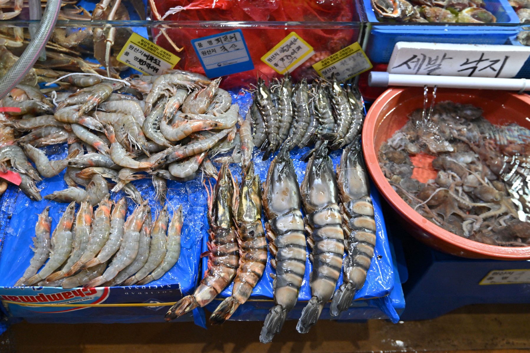 afp__20230706__33mr8tw__v1__m