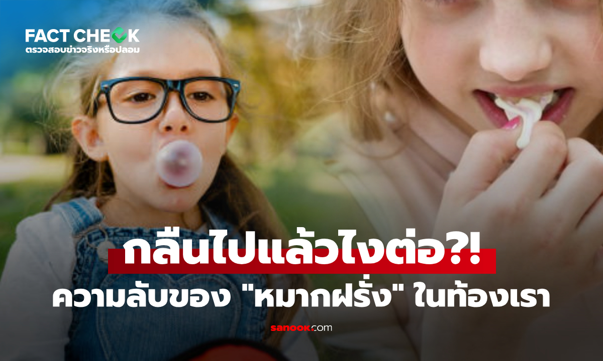 โดนหลอกทั้งชีวิต! จะเกิดอะไรขึ้นถ้า "กลืนหมากฝรั่ง" ไม่ได้อยู่ในท้อง 7 ปี แล้วใช้เวลากี่วัน?