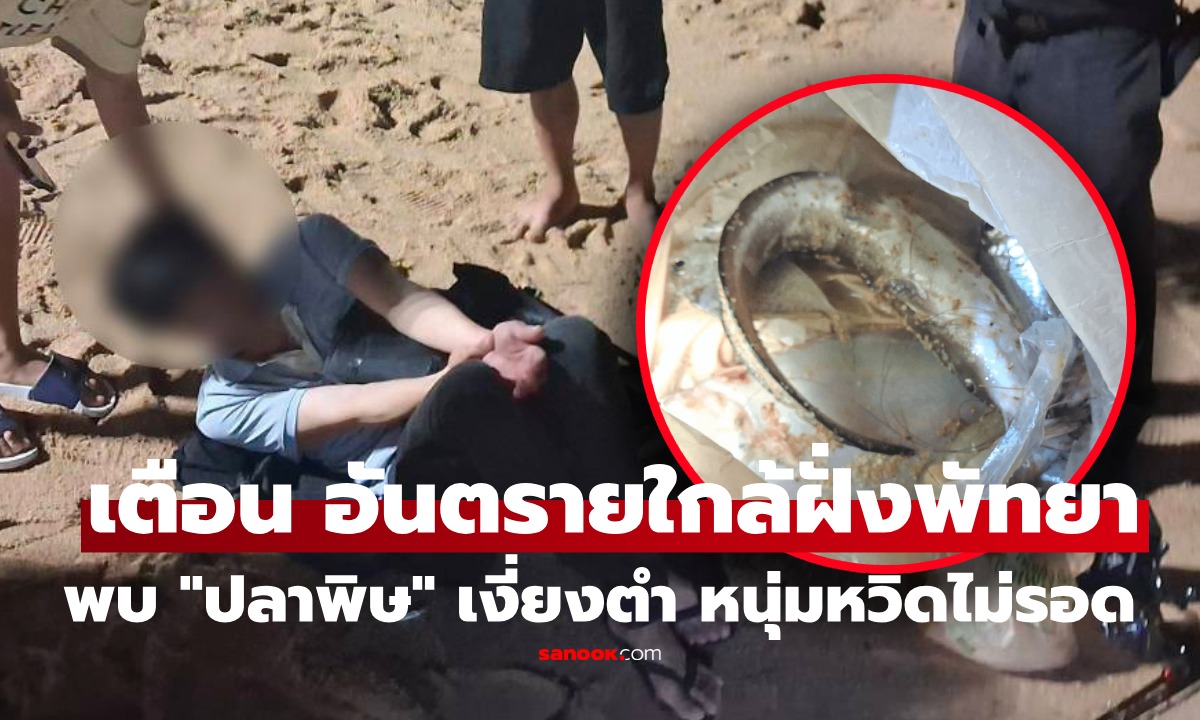 ผงะกลางหาดพัทยา หนุ่มนอนเล่นจู่ๆ ชาครึ่งตัว พบถูก “เงี่ยงปลามีพิษ” ตำ แห่เตือนเห็นปลาชนิดนี้ควรระวัง