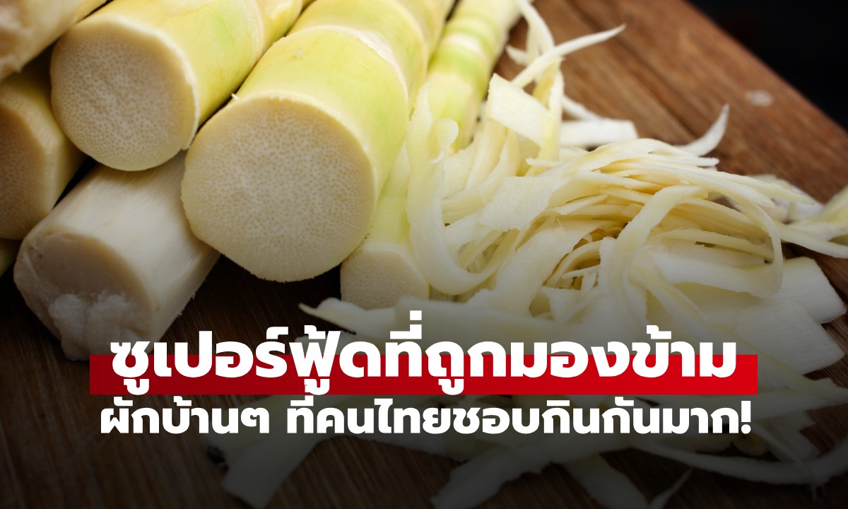 วิจัยเมืองนอกชี้ 1 ผักบ้านๆ ของไทย "ซูเปอร์ฟู้ด" ที่ถูกมองข้าม! ช่วยลดน้ำตาล-ไขมัน
