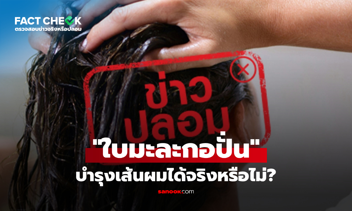 "ใบมะละกอปั่น" หมักผม ช่วยขจัดรังแค บำรุงเส้นผมได้จริงหรือไม่? : เช็กข่าวชัวร์