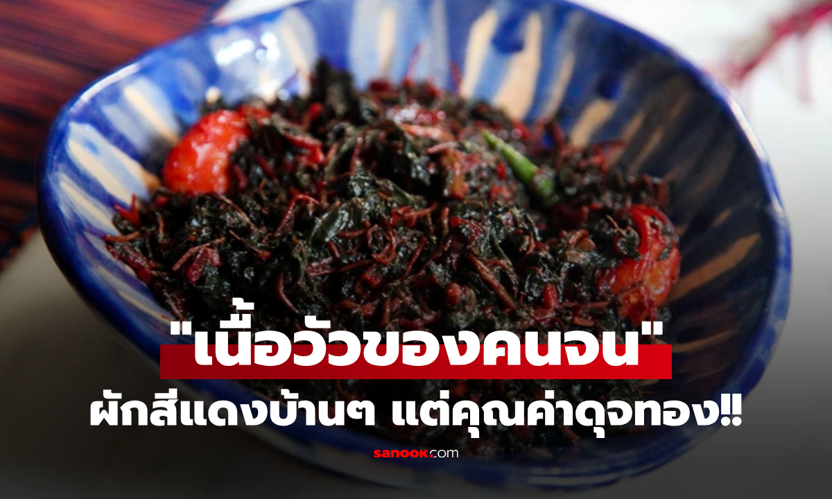 แจกสูตรเด็ด! ผักใบสีแดงๆ ฉายา "เนื้อวัวของคนจน" เมนูรวยสุขภาพ ธาตุเหล็กสูงปรี๊ด