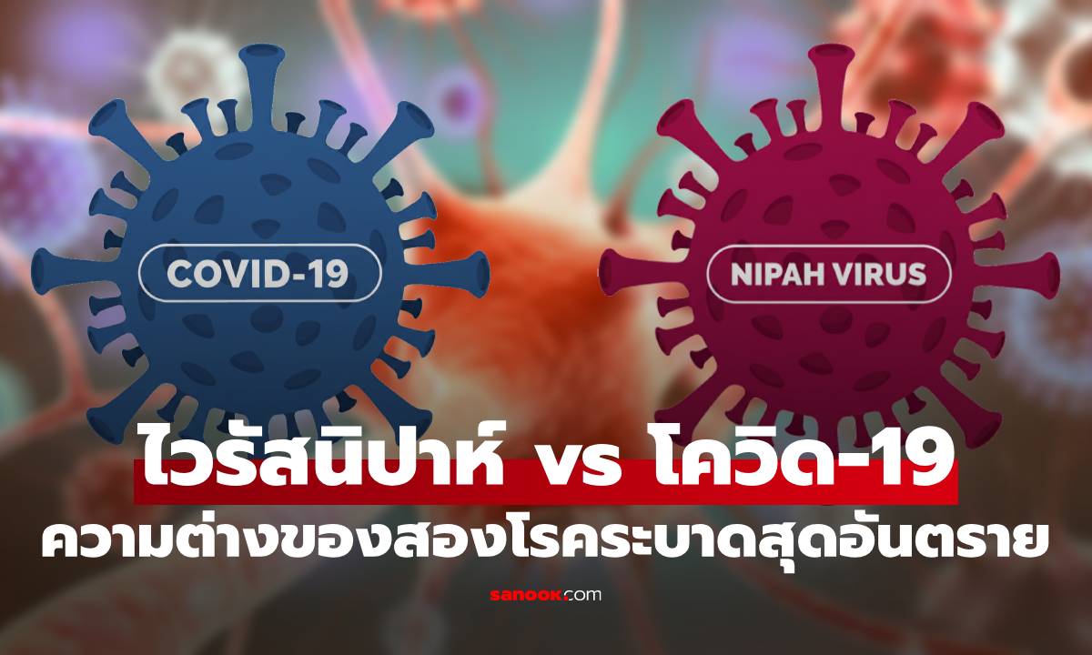 ไวรัสนิปาห์ vs โควิด-19 : เปรียบเทียบความต่างของสองโรคระบาดสุดอันตราย