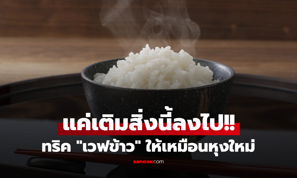 รู้งี้ทำนานแล้ว! แค่เติม "สิ่งนี้" ลงไป เคล็ดลับญี่ปุ่น เวฟข้าวแช่แข็งให้ "นุ่มฟู" เหมือนหุงใหม่