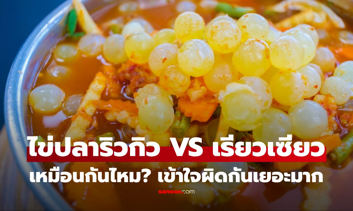 เข้าใจผิดกันเยอะมาก! ไข่ปลาริวกิว VS ไข่ปลาเรียวเซียว เรียกไม่เหมือนกัน สรุปแล้วเหมือนกันไหม?