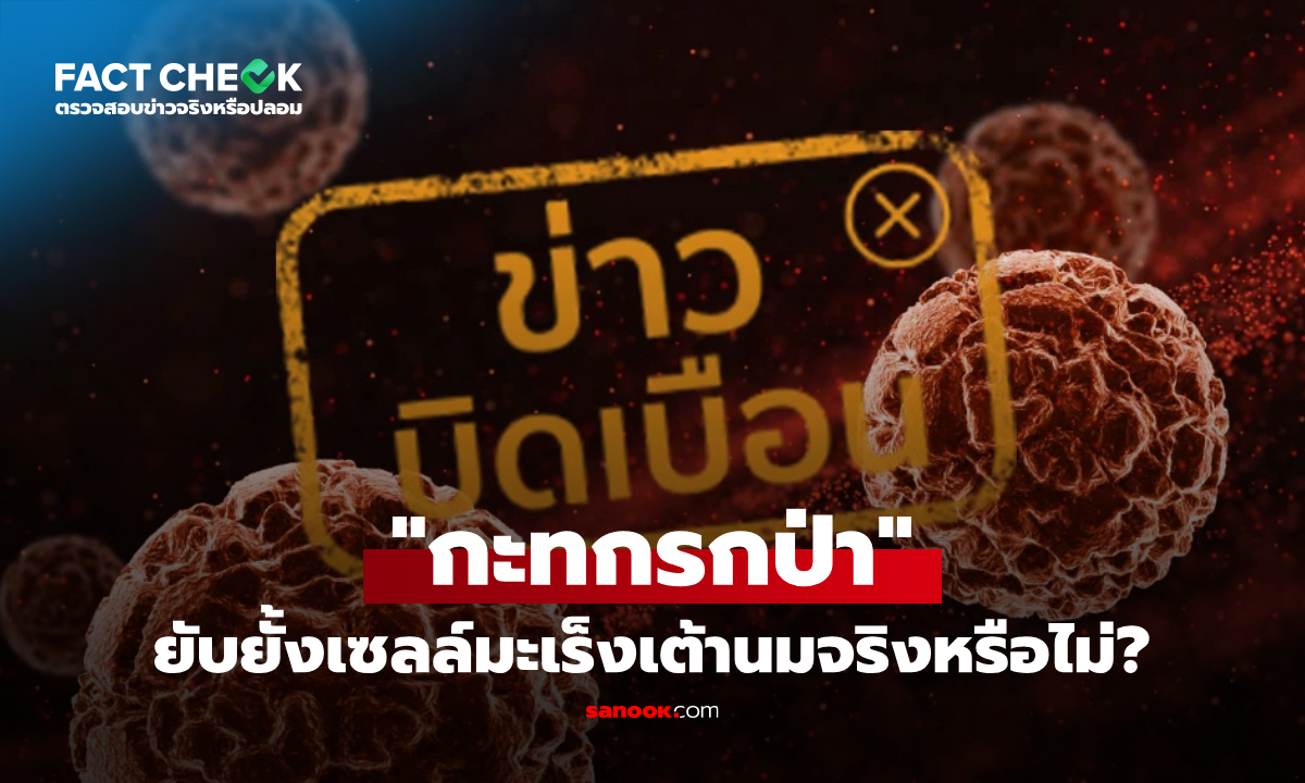 "กะทกรกป่า" ยับยั้งเซลล์มะเร็งเต้านมและเสริมภูมิคุ้มกัน จริงหรือไม่? : เช็กข่าวชัวร์