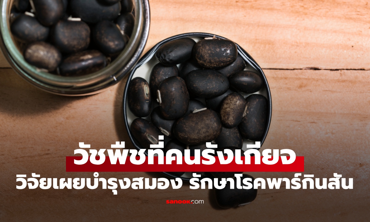 วัชพืช "ไร้ค่า" คนรังเกียจไม่อยากเข้าใกล้ วิจัยเผยช่วยบำรุงสมอง รักษาพาร์กินสัน