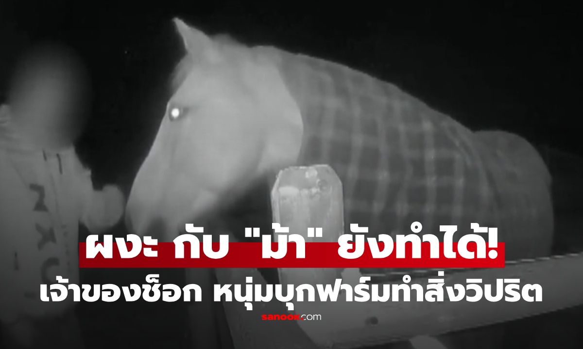 เจ้าของฟาร์มได้ยินเสียงผิดปกติ ออกไปดู ผงะ เห็นคาตาหนุ่มพฤติกรรมวิปริต เหยื่อคือม้า 2 ตัว!!