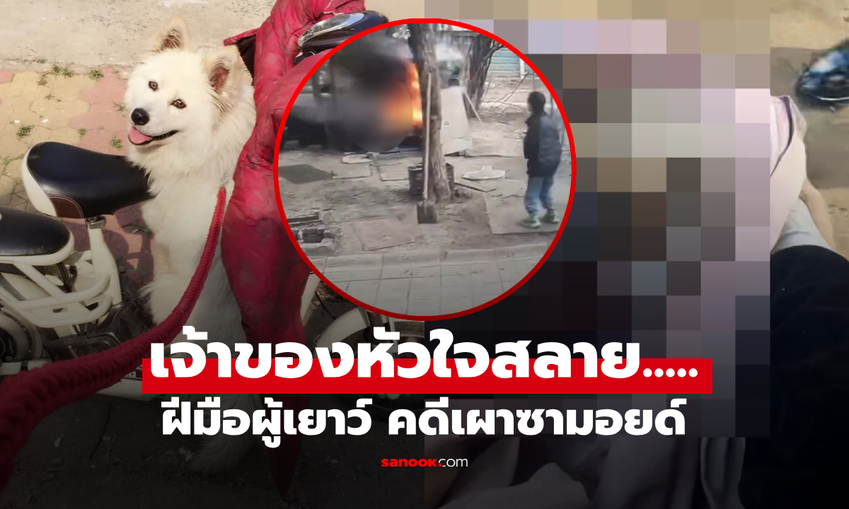 แฉคลิป!! 2 เด็กจีน โยนต้นเพลิงใส่กรง "เผาซามอยด์" ดิ้นทุรน 3 นาที ย่างสดดับอนาถ