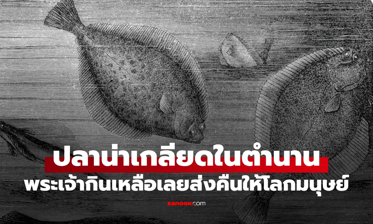 ตำนาน "ปลาน่าเกลียด" พระเจ้ากินเหลือแค่ครึ่งซีก กลายเป็นซูเปอร์ฟู้ดของมนุษย์โลก