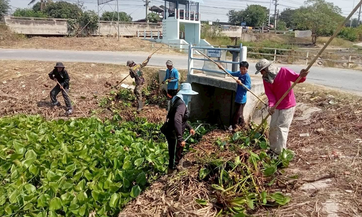 โอกาสมาถึงแล้ว! "กรมชลประทาน" เปิดสมัครแรงงานกว่า 8.4 หมื่นคนทั่วไทย หนุนรายได้ช่วยพี่น้องชาวเกษตร