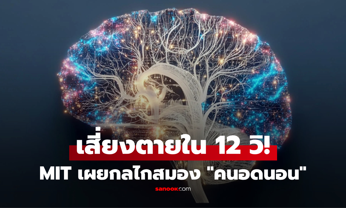 รู้แล้วจะหนาว! MIT ค้นพบ "เรื่องประหลาด" ในสมองคนอดนอน 12 วินาที ที่อาจจบชีวิตคุณ