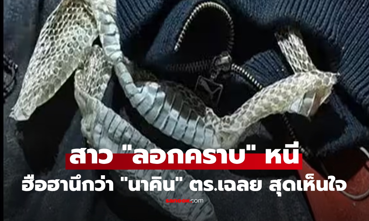 ช็อก "สาวลอกคราบ" หายตัวปริศนา ลือสนั่น "นาคิน" แปลงกาย ความจริงเฉลย สุดเห็นใจ