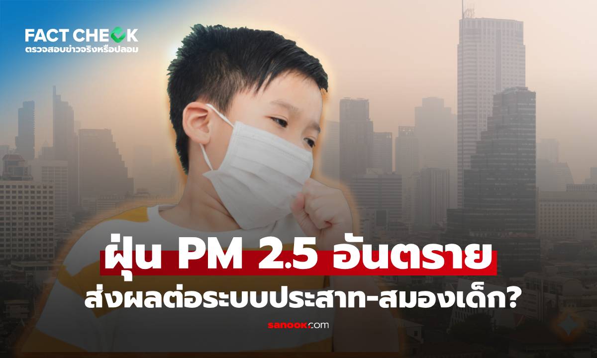 ฝุ่น PM 2.5 ส่งผลต่อระบบประสาท-อันตรายต่อสมองเด็ก : เช็กข่าวชัวร์