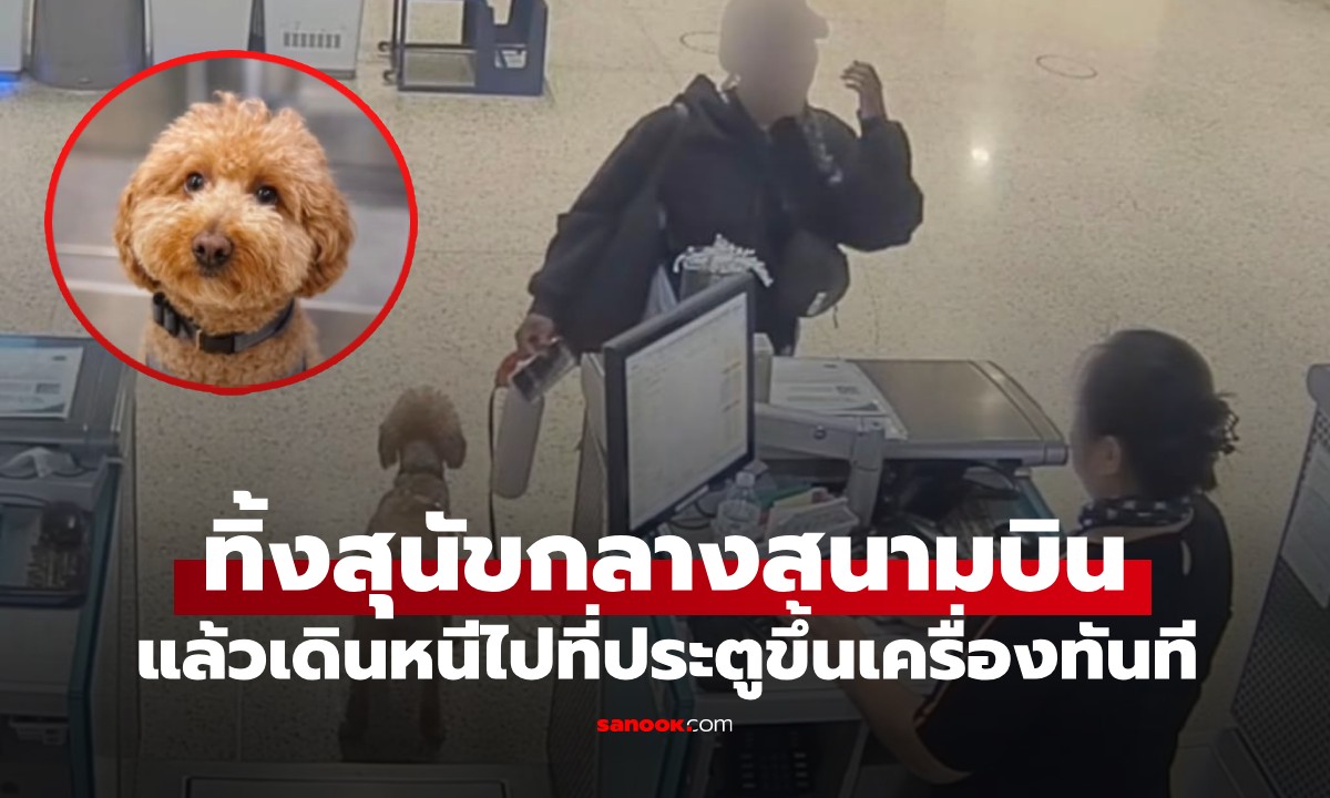 เหลือจะเชื่อ! เจ้าของใจร้าย ทิ้งสุนัขที่สนามบินหน้าตาเฉย หลังถูกห้ามนำขึ้นเครื่อง