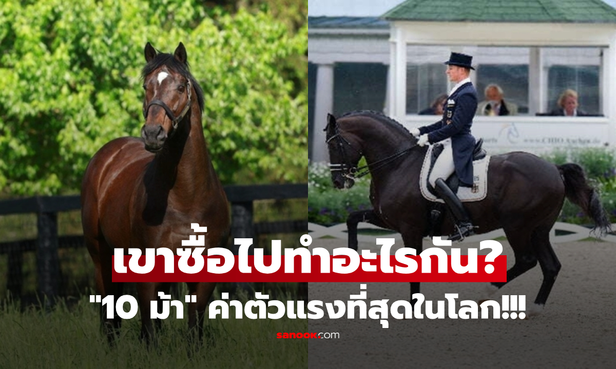เผยโฉม 10 ม้า "แพงที่สุดในโลก" เปิดราคาสุดอลังการ ยิ่งกว่าซูเปอร์คาร์-คฤหาสน์หรู!!