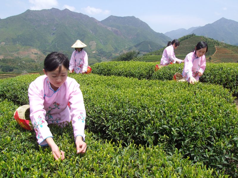 istock_24284349_small