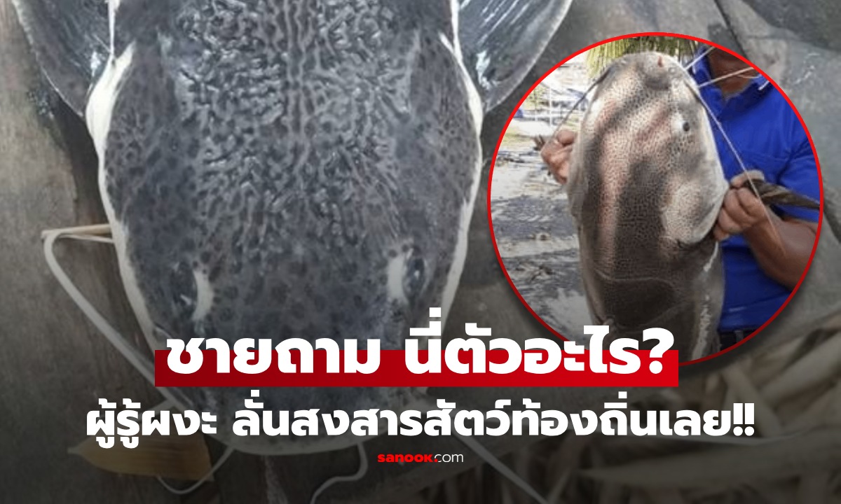 ชายโพสต์ถาม นี่ตัวอะไร? ตกได้ที่ลำตะคอง ผู้รู้เห็นแล้วตาโต ลั่นมาได้ไง สงสารสัตว์ท้องถิ่นล่วงหน้า!!