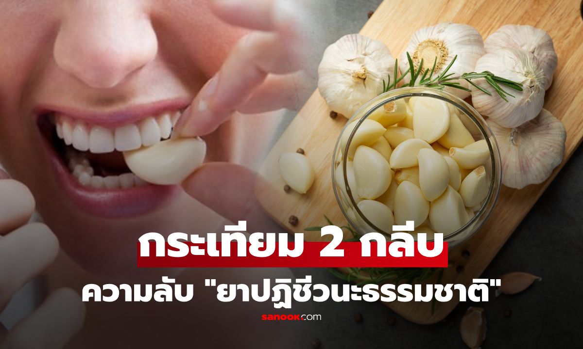 กินกระเทียม 2 กลีบ "ทุกเช้า" ส่งผลอย่างไรต่อร่างกาย? เผยความลับ "ยาปฏิชีวนะธรรมชาติ"