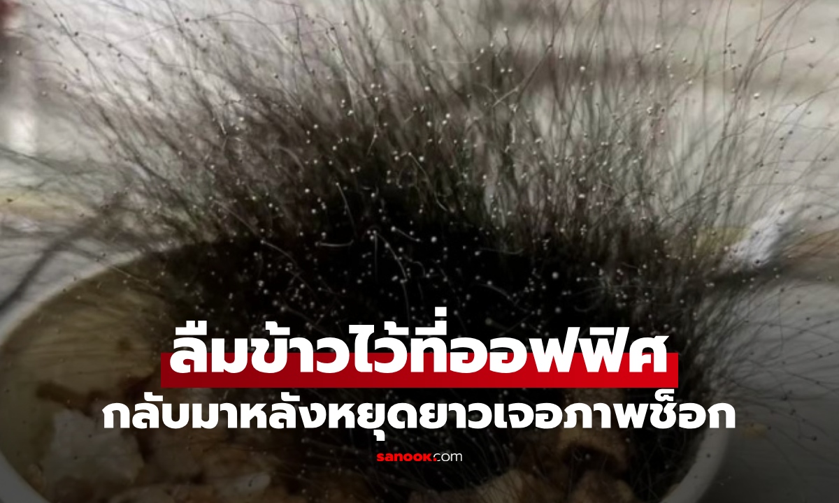 พนักงานลืม "ชามข้าว" บนโต๊ะทำงาน กลับมาสยองทั้งออฟฟิศ สิ่งมีชีวิตดกดำฟูฟ่อง!