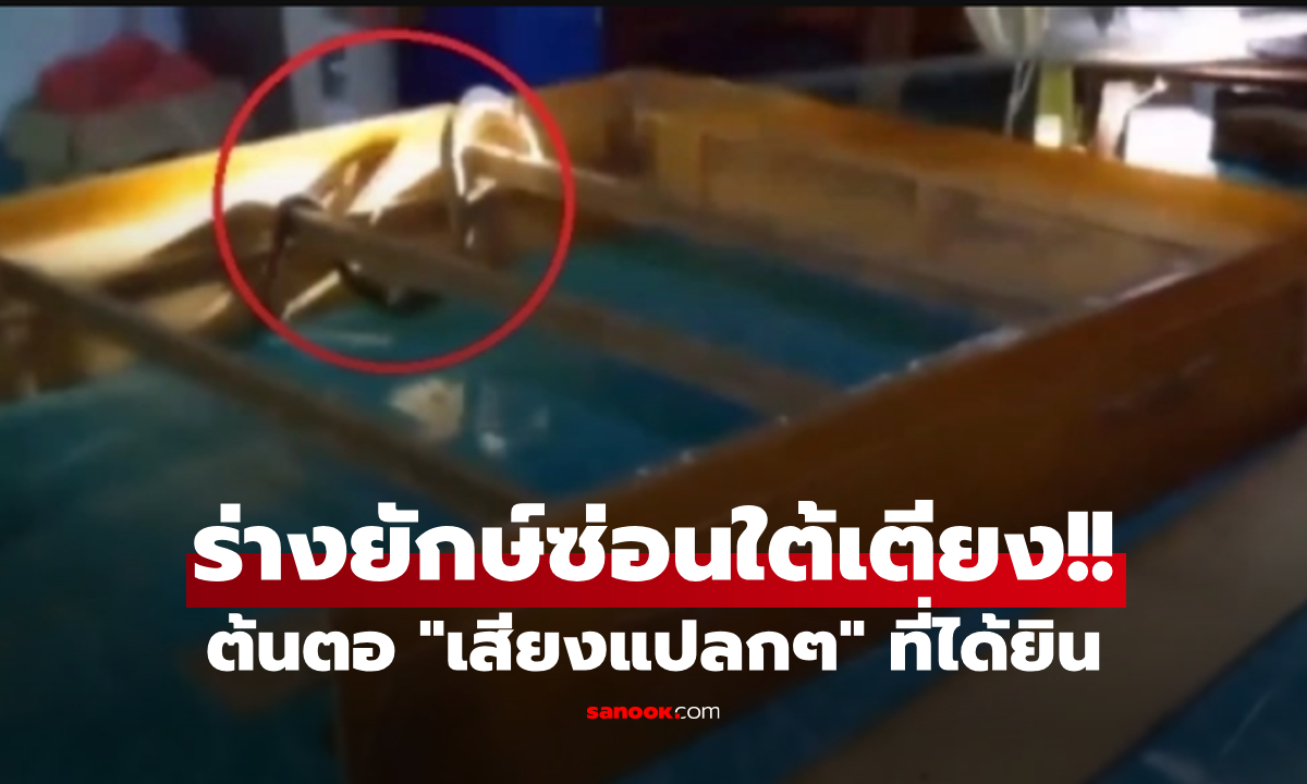 ได้ยินเสียงประหลาด "ใต้เตียง" ก้มมองถึงกับช็อก เจอแขกไม่ได้รับเชิญตัวเขื่อง ทำวุ่นทั้งบ้าน!!