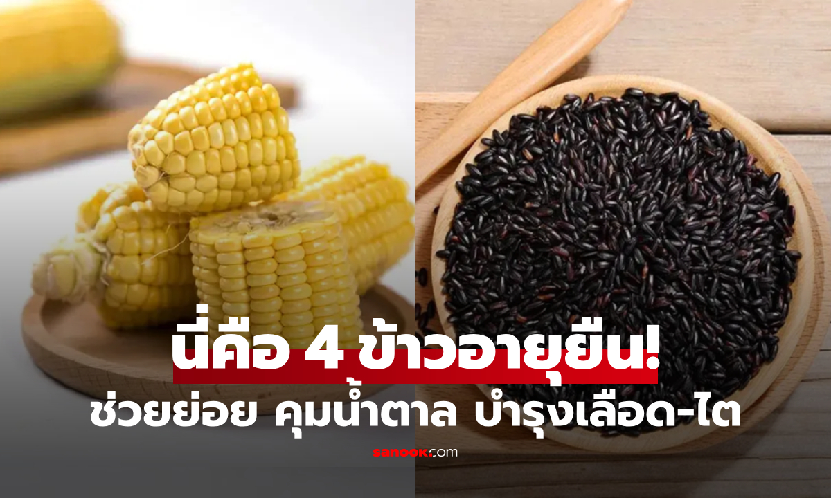 เปิดสูตรลับ 4 ธัญพืชฉายา "ข้าวอายุยืน" กินไปช่วยย่อย บำรุงเลือดและไต ไทยหาซื้อง่ายมาก!