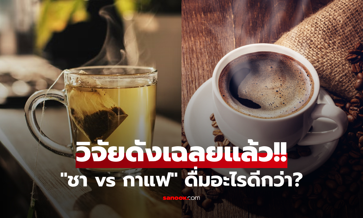 วิจัยฮาร์วาร์ดเฉลยแล้ว ชา vs กาแฟ ดื่มอะไรดีต่อ "หัวใจและสมอง" มากกว่ากัน?