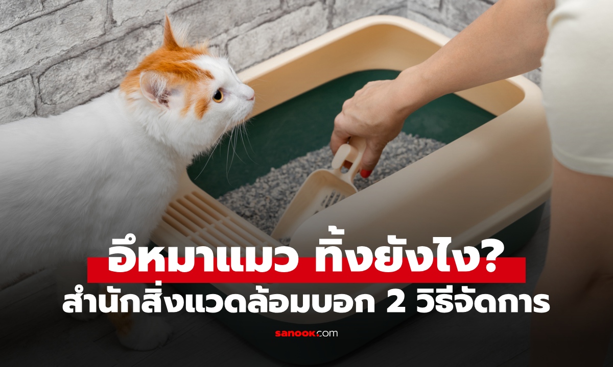 อึหมาแมว ทิ้งยังไงดี? สำนักสิ่งแวดล้อมบอก 2 วิธีจัดการ ใส่ถังขยะทั่วไปได้ไหม