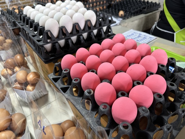 298d0kz199jgo1b8tt23unq8fjd_6