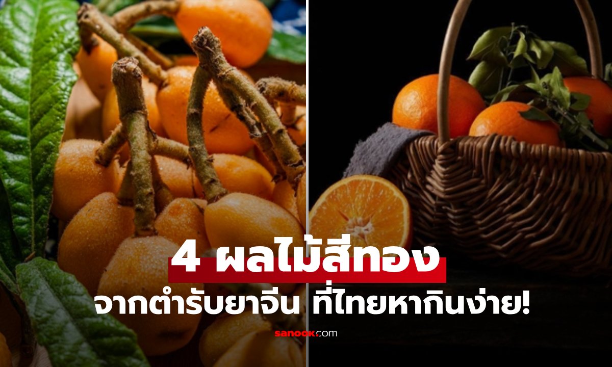 รู้ไว้ดีกว่า 4 ผลไม้สีทอง ช่วยขับเสมหะ และ "ล้างปอด" หลายคนกินแต่ไม่รู้สรรพคุณ!