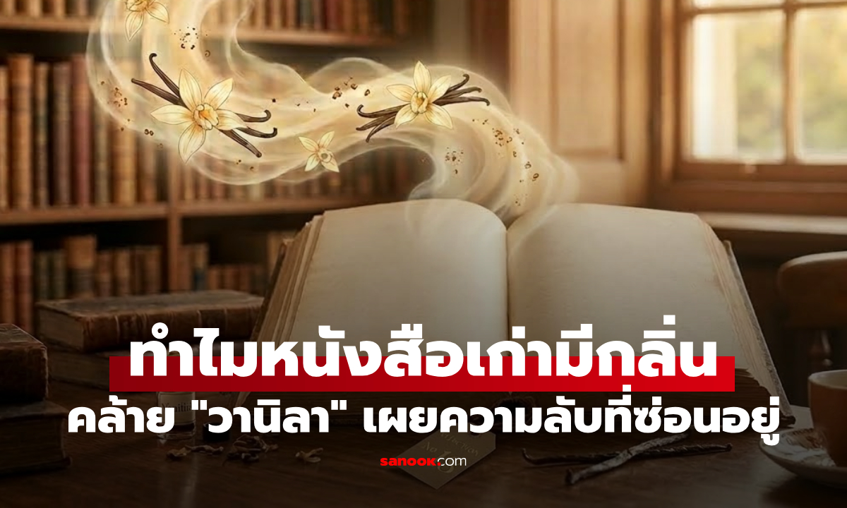 เปิดปริศนา "กลิ่นหนังสือเก่า" มนต์เสน่ห์ของกาลเวลาที่มีชื่อเรียกทางวิทยาศาสตร์