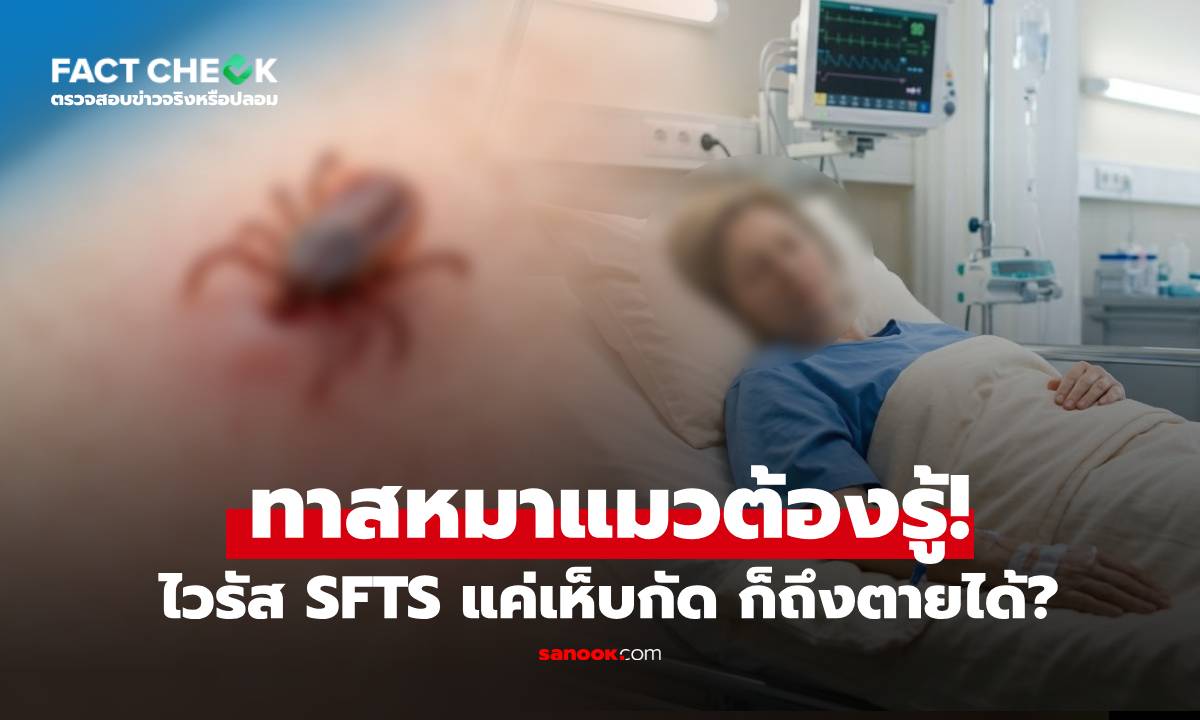 พบเคสในไทย?! ติดไวรัสเพราะ "เห็บกัด" ตัวเดียว สมองอักเสบ-อวัยวะล้มเหลว : เช็กข่าวชัวร์