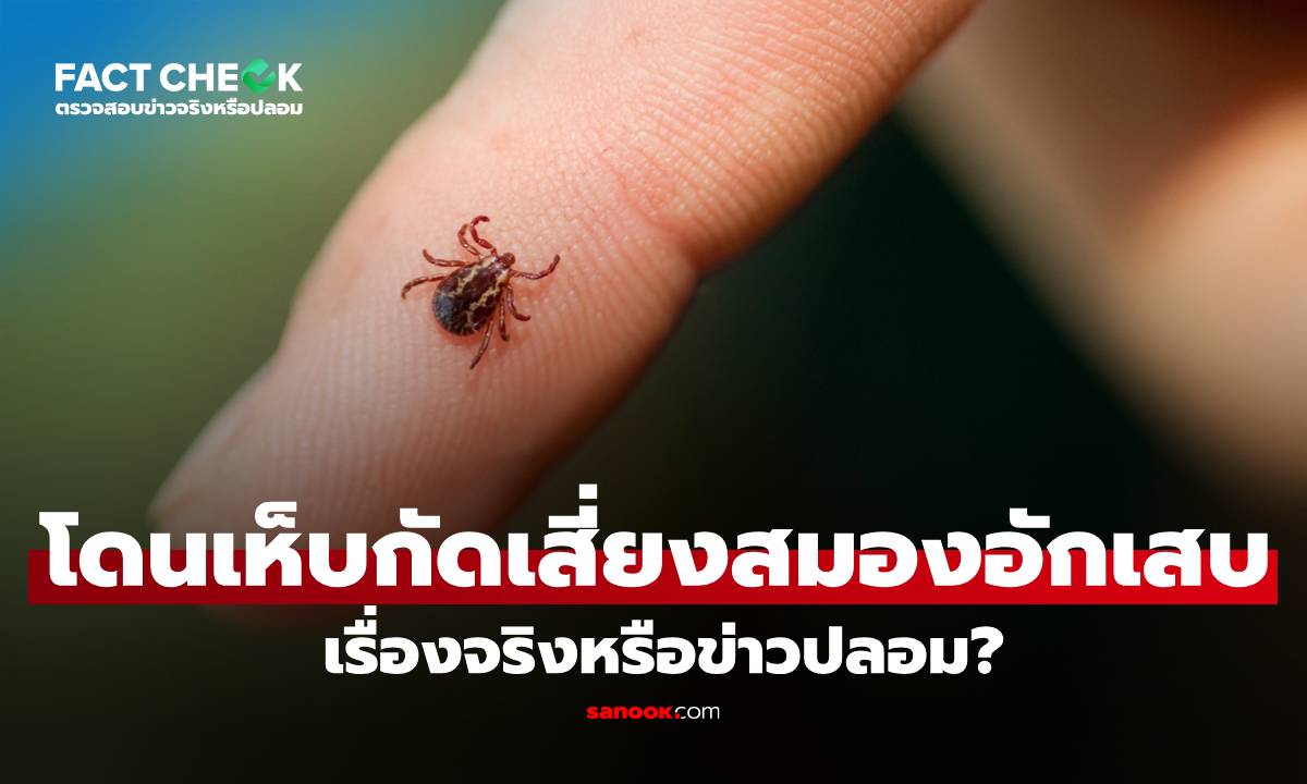 โดนเห็บกัด เสี่ยงสมองอักเสบ เรื่องจริงหรือข่าวปลอม?: เช็กข่าวชัวร์