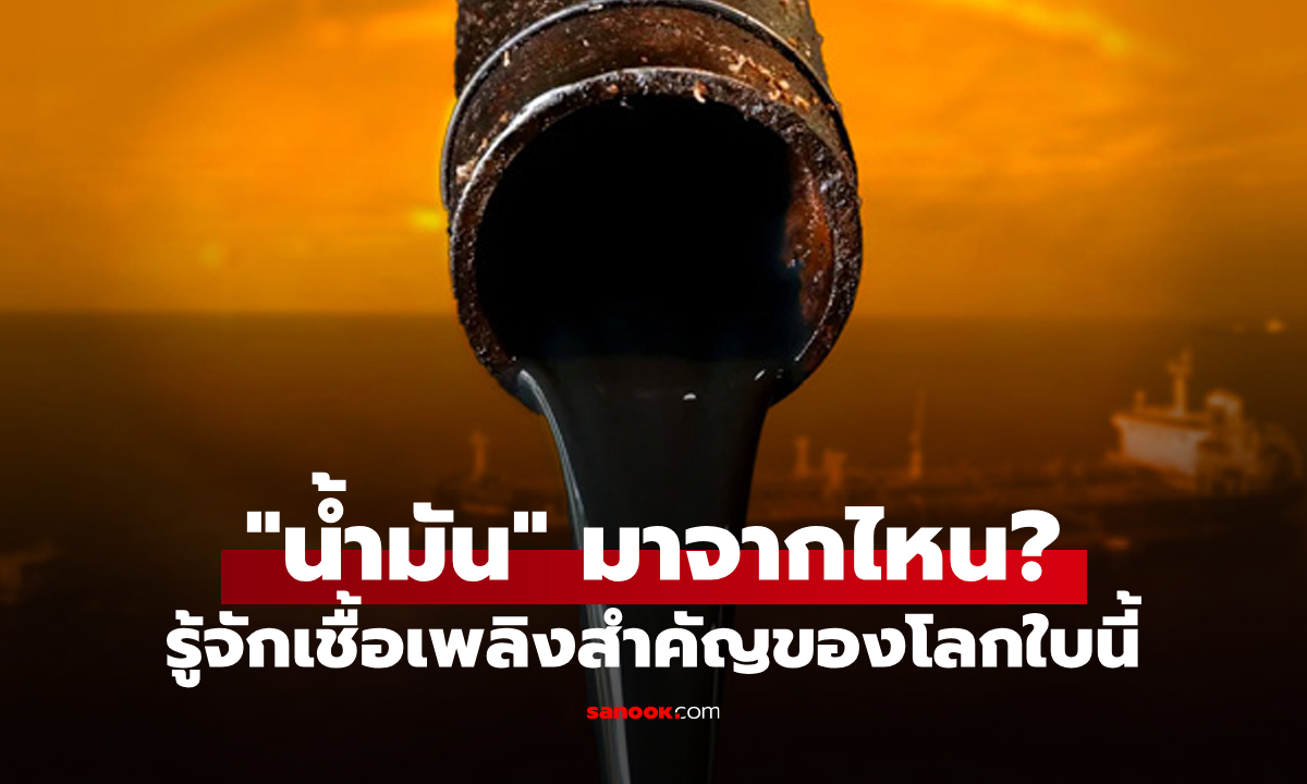 “น้ำมัน” ที่เราใช้ทุกวัน มาจากไหน? รู้จักเชื้อเพลิงสำคัญของโลกแบบเข้าใจง่าย