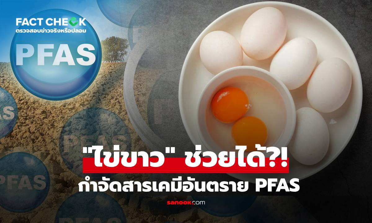 "ไข่ขาว" ช่วยกำจัดสารเคมีอันตรายได้? ผลการวิจัยใหม่พบคำตอบแล้ว : เช็กข่าวชัวร์