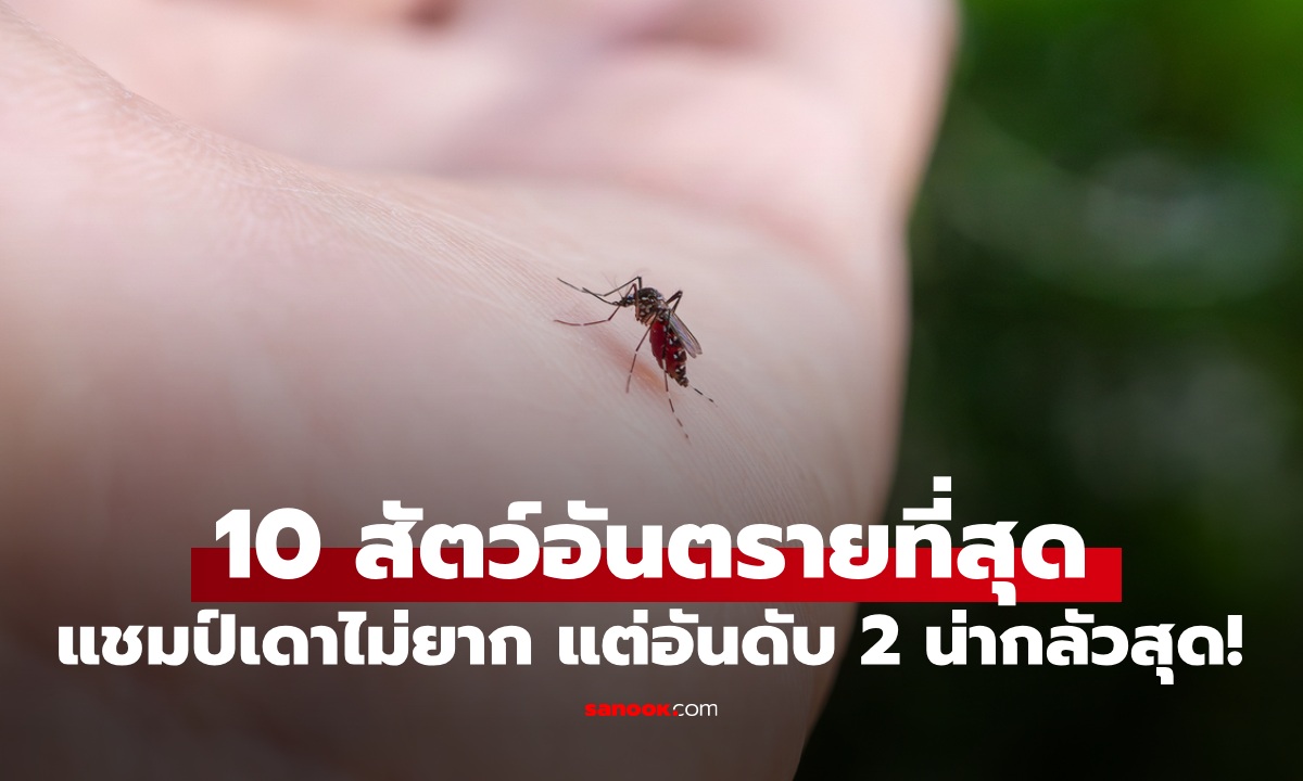 เปิดสถิติ 10 สัตว์อันตรายต่อมนุษย์ที่สุดในโลก แชมป์เดาไม่ยาก แต่อันดับ 2 น่ากลัวสุด!