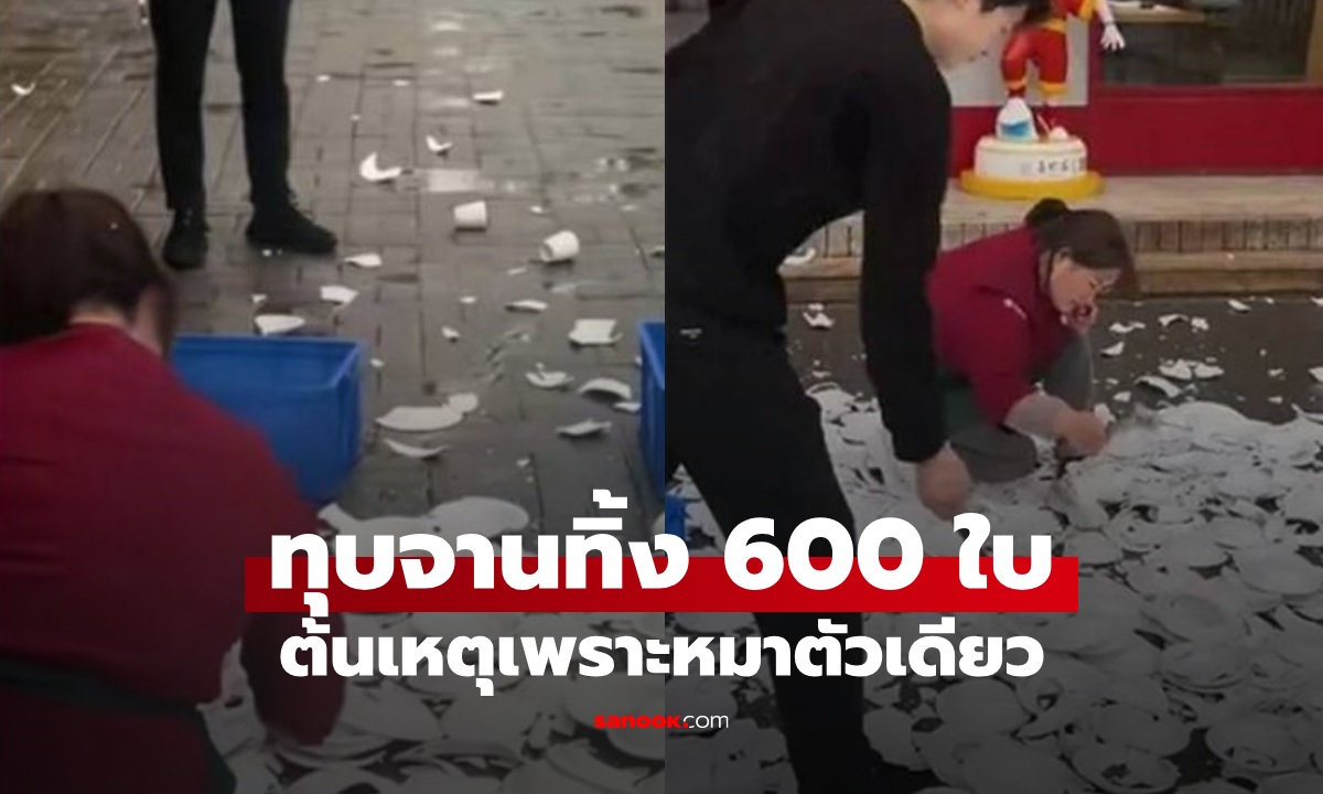 เจ้าของร้านอาหารทุบจานทิ้ง 600 ใบ ต้นเหตุเพราะ "หมาตัวเดียว" ไม่วายโดนทัวร์ลง